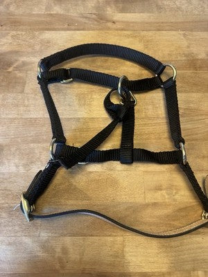 Nylon Breakaway Horse Padded Leather Halter with Leather Crown Small