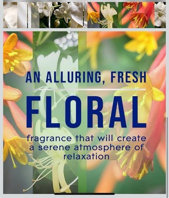 Glade PlugIns Refills Air Freshener, Jasmine & Honeysuckle, Scented and Blue