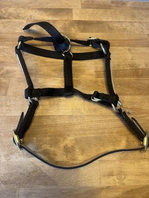 Nylon Breakaway Horse Padded Leather Halter with Leather Crown Small